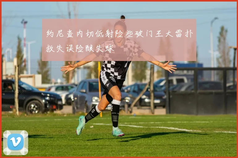 约尼查内切低射险些破门王大雷扑救失误险酿失球